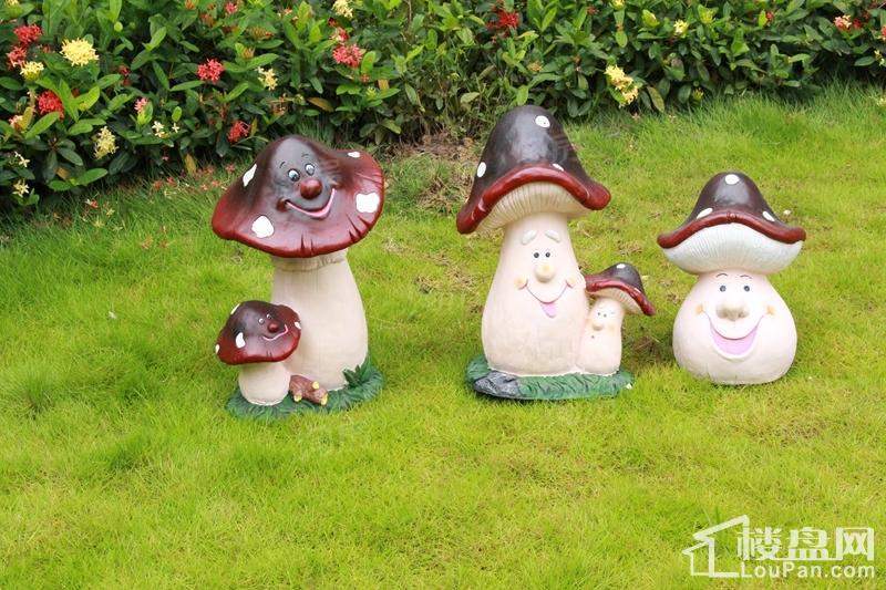 荣和千千树实景图