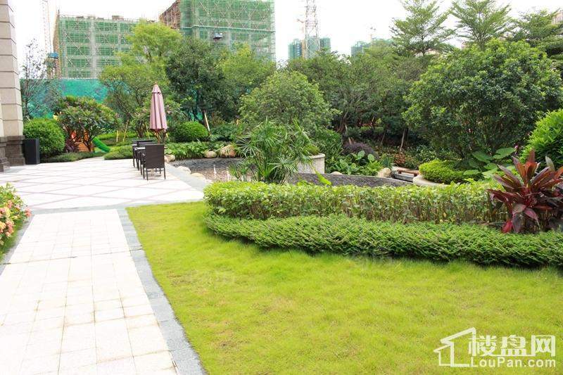 荣和千千树实景图