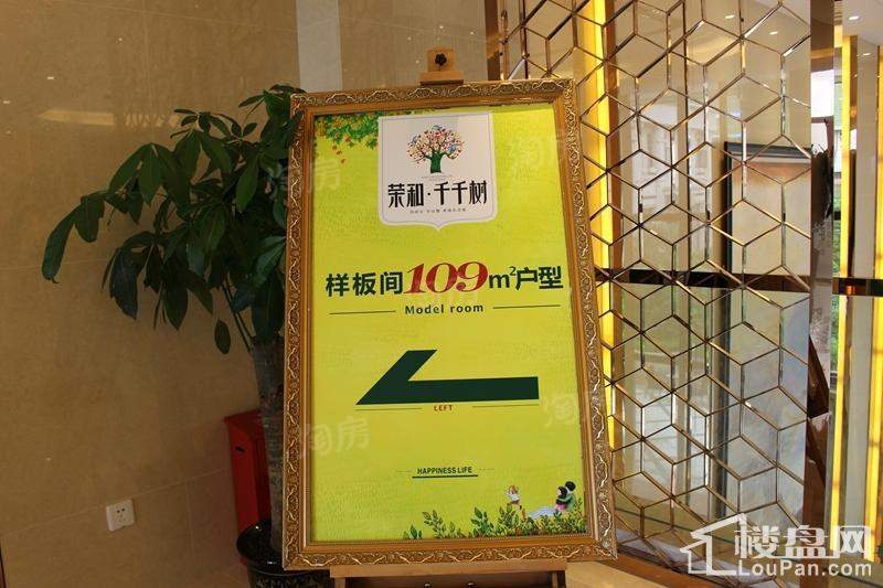 荣和千千树样板间