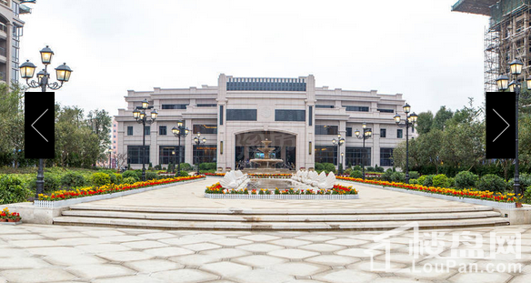 华兴·金盛丽景实景图