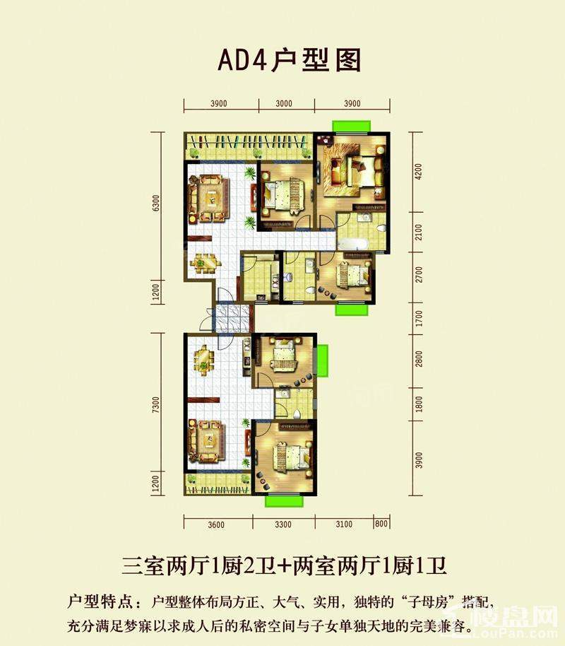 暂无数据