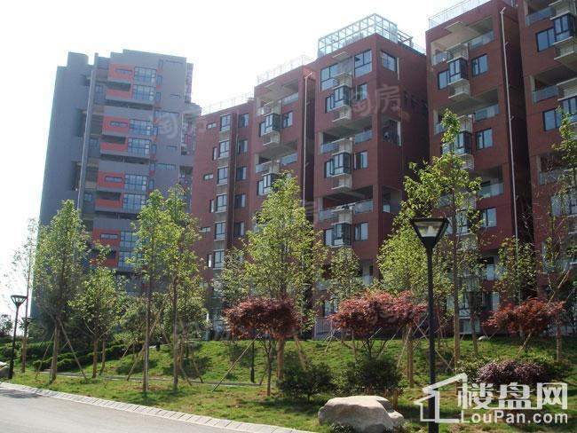 三江国际花园实景图