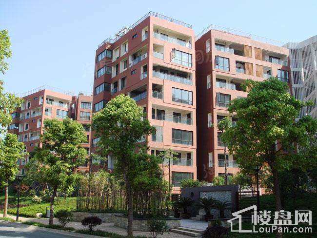 三江国际花园实景图