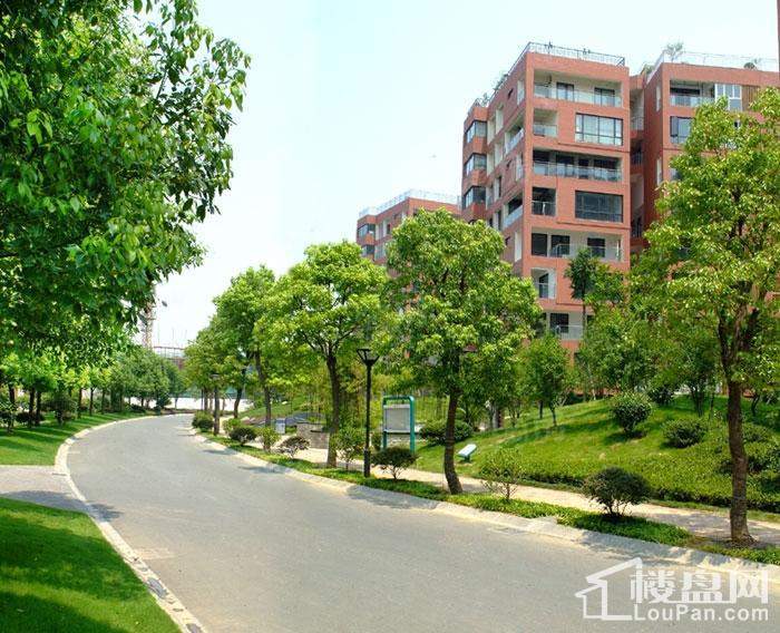三江国际花园实景图