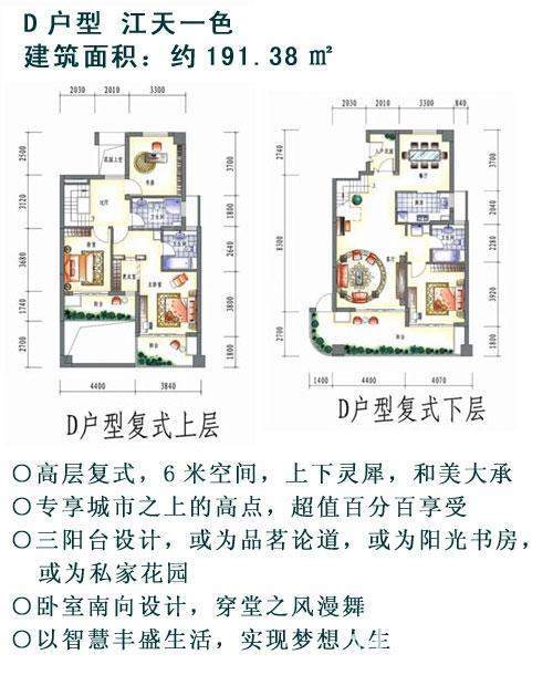 D户型