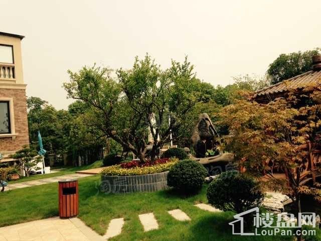 南京碧桂园实景图