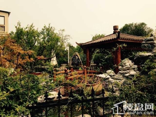 南京碧桂园实景图