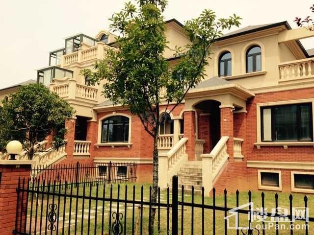 南京碧桂园实景图