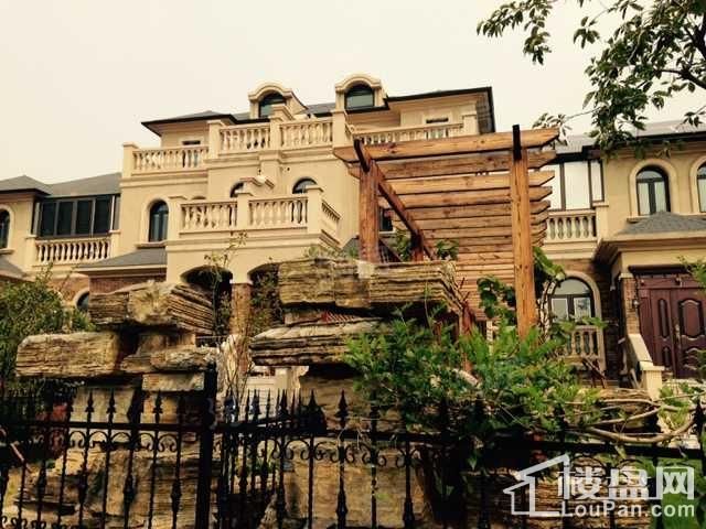 南京碧桂园实景图