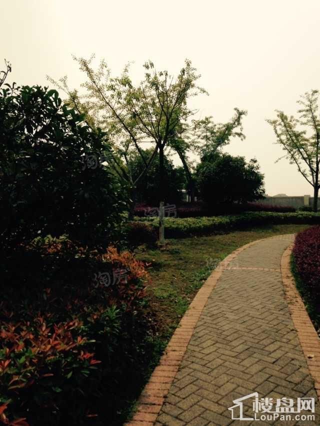南京碧桂园实景图