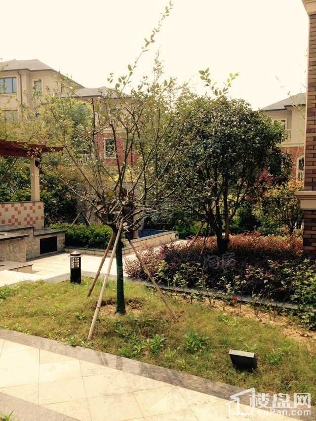 南京碧桂园样板间
