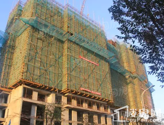 幸福学府实景图