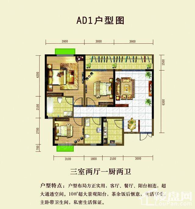 暂无数据