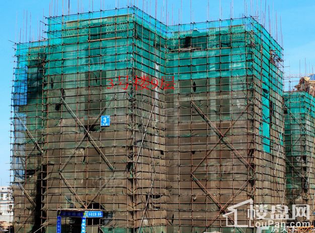 四季康城二期尚域世家实景图