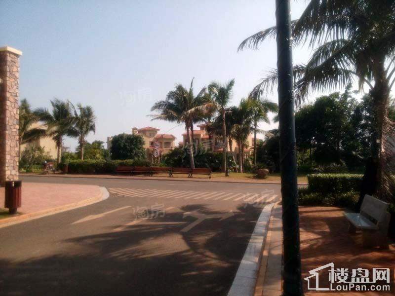 南国威尼斯城实景图