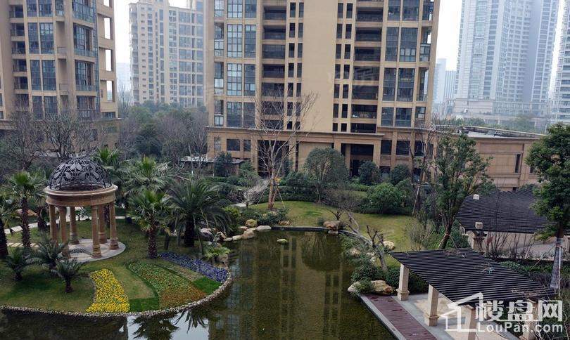 钱江水晶澜轩实景图