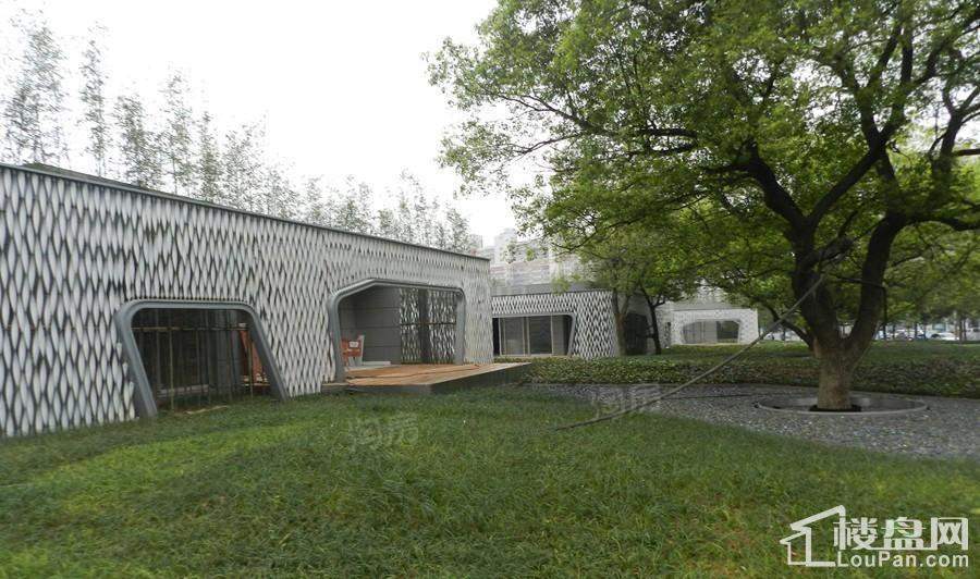 实景图