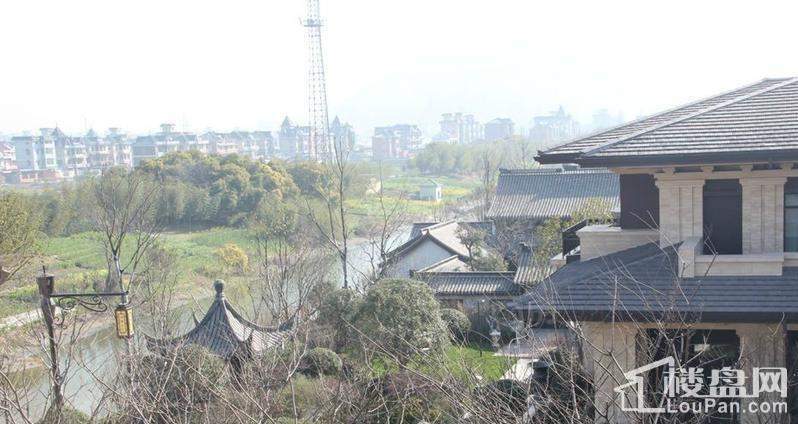 潮闻天下实景图