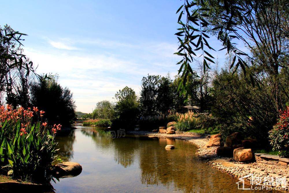 融汇城锦绣里实景图