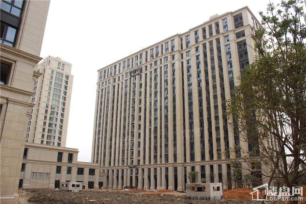 御庭壹號实景图