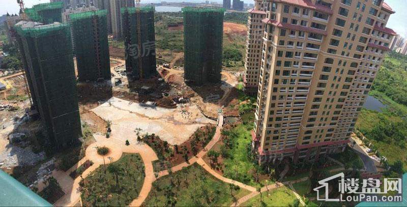 海湾雨林实景图