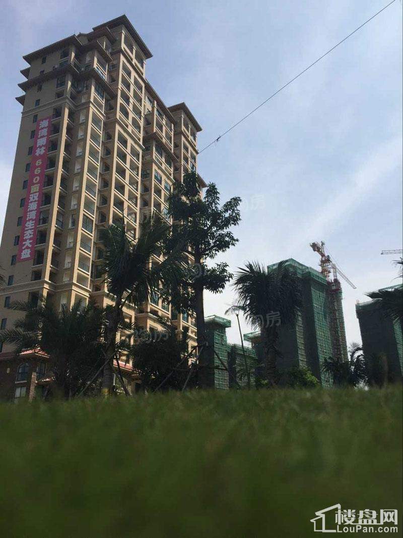 海湾雨林实景图