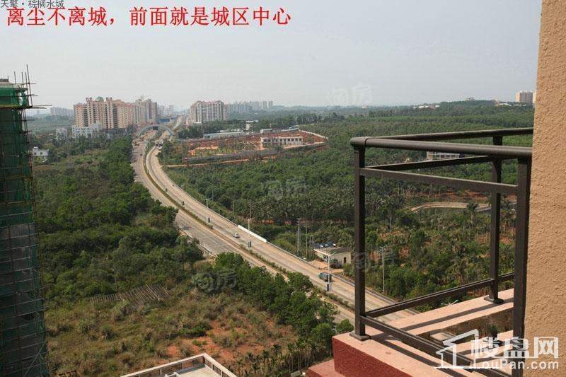 棕榈水城实景图