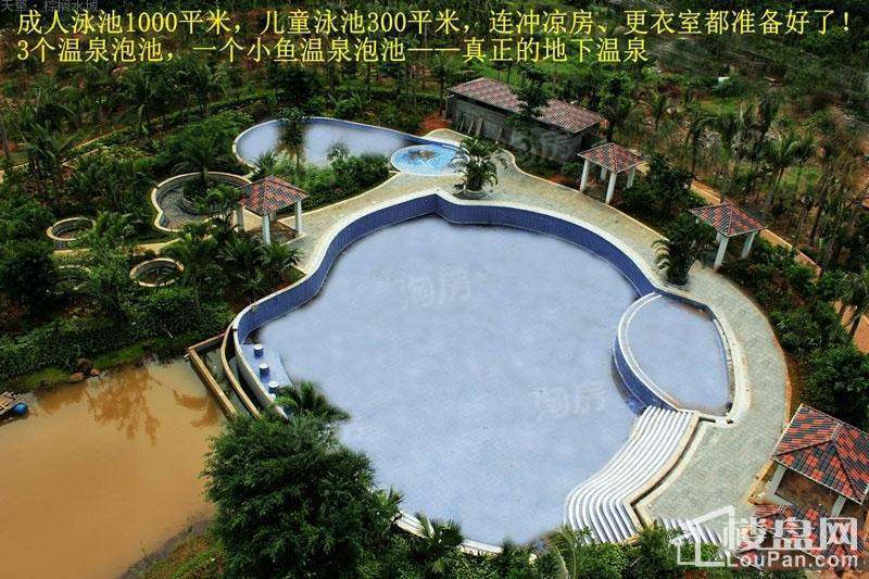 棕榈水城实景图