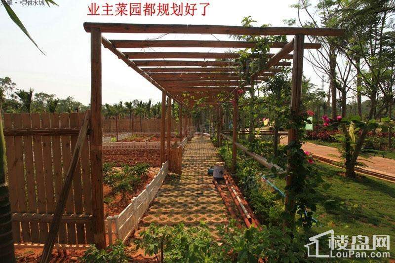 棕榈水城实景图