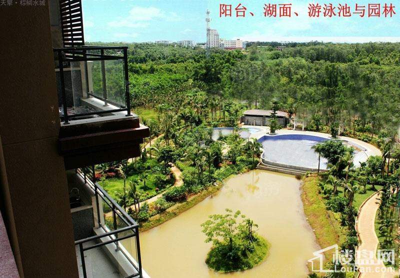 棕榈水城实景图