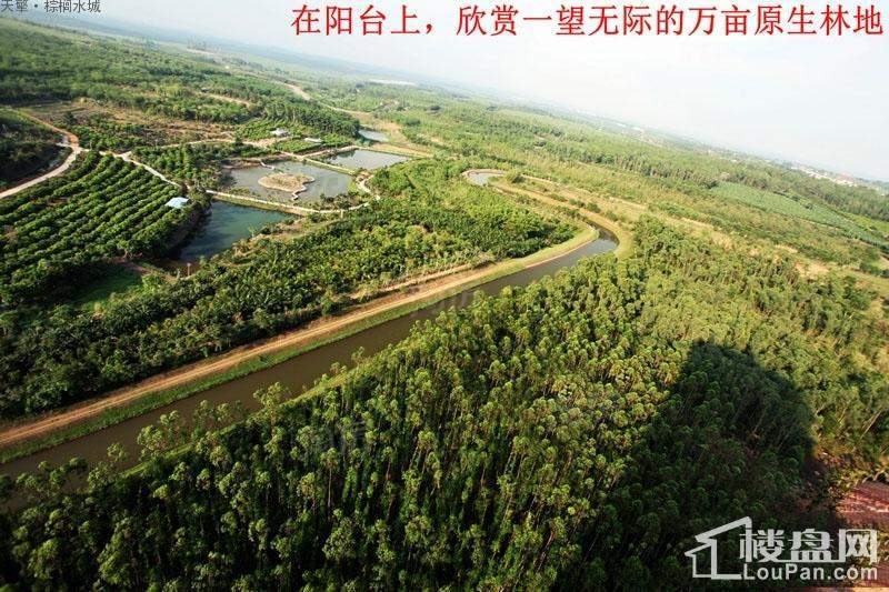 棕榈水城实景图