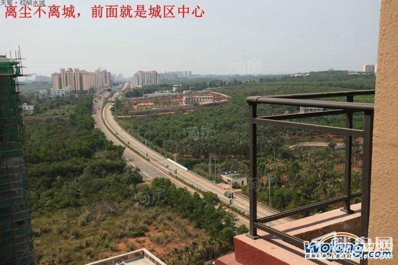 棕榈水城实景图