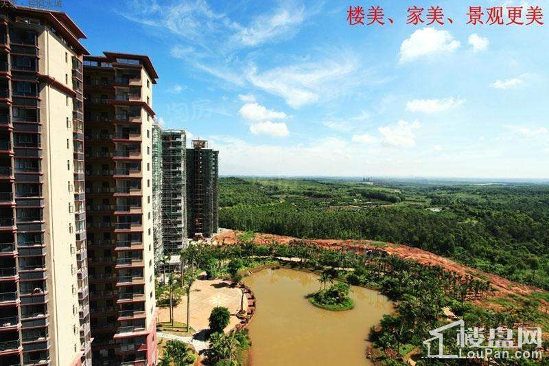 棕榈水城实景图