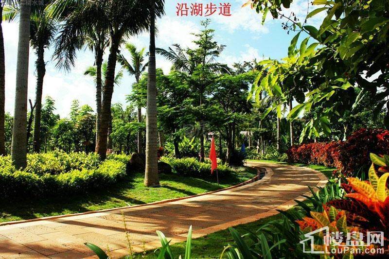 棕榈水城实景图