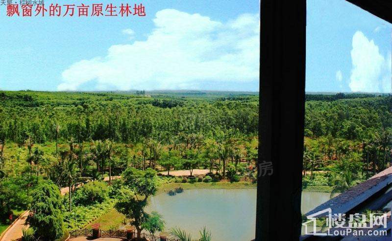 棕榈水城实景图