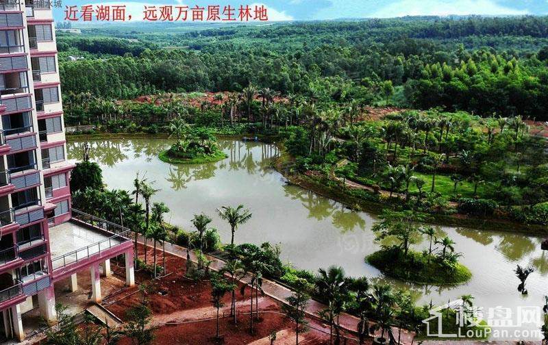 棕榈水城实景图