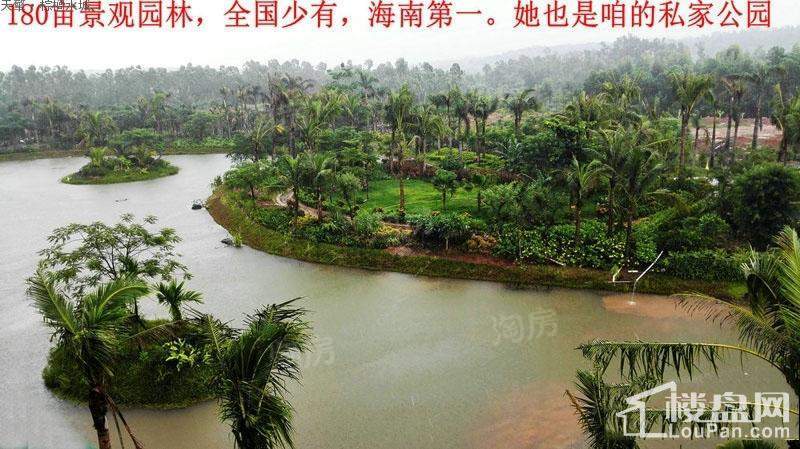 棕榈水城实景图
