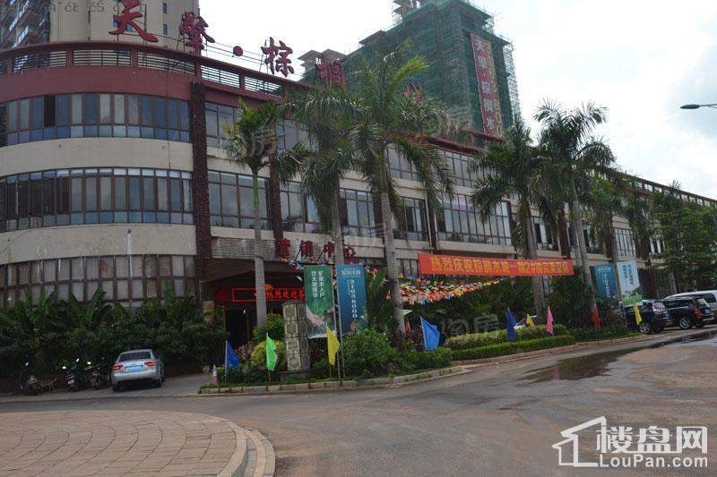 棕榈水城实景图