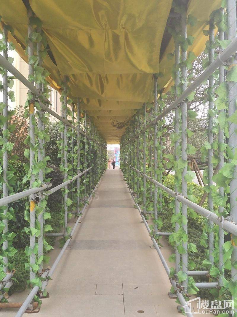 华润二十四城实景图