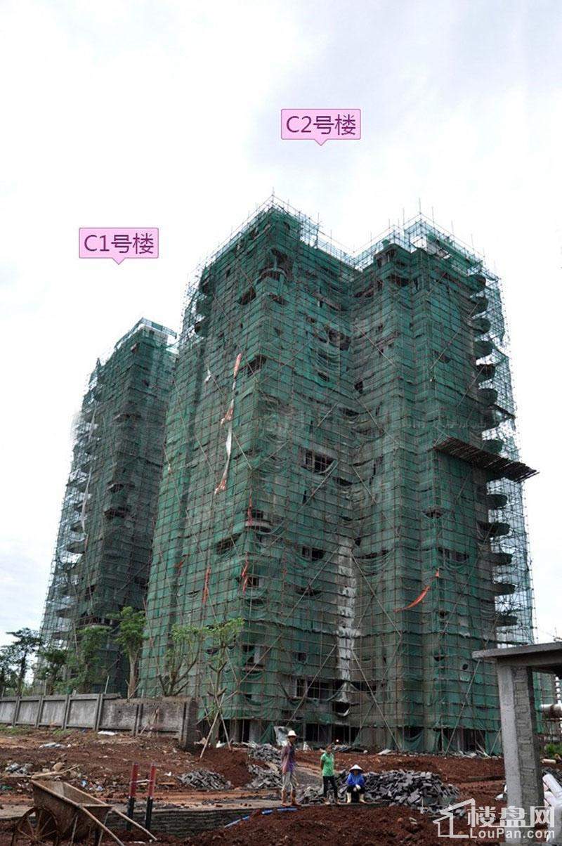 实景图
