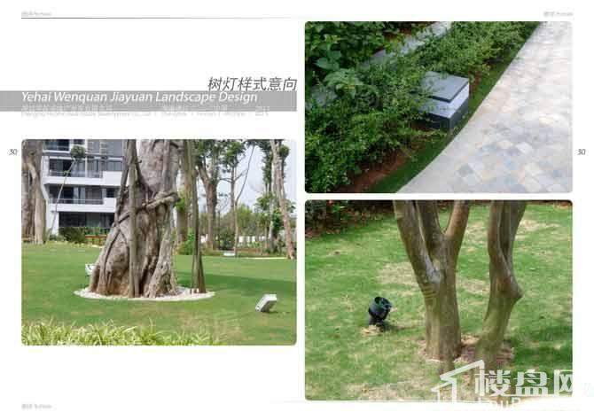 椰海温泉嘉苑效果图