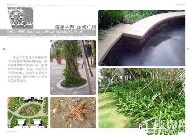 椰海温泉嘉苑效果图