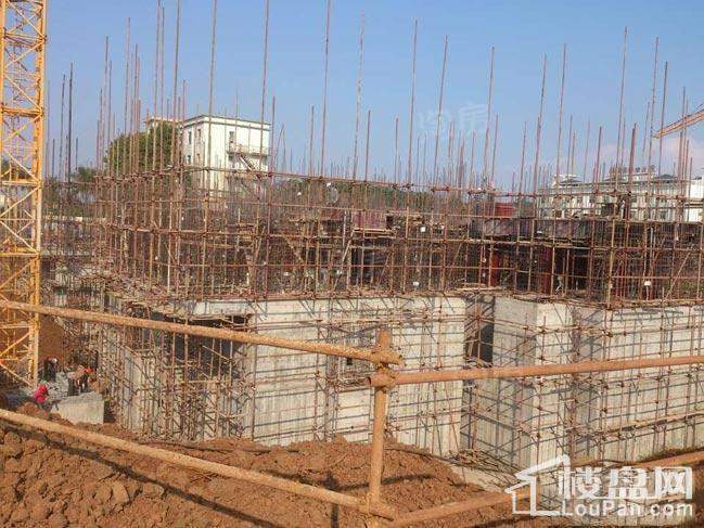 藏龙福地实景图