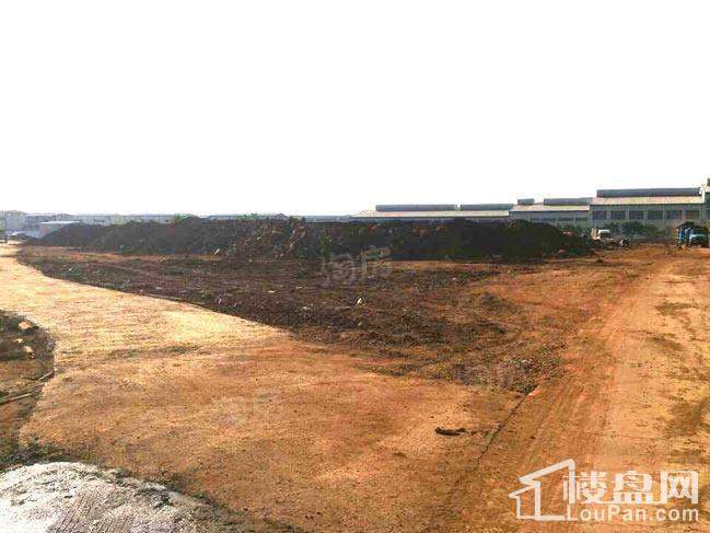 藏龙福地实景图