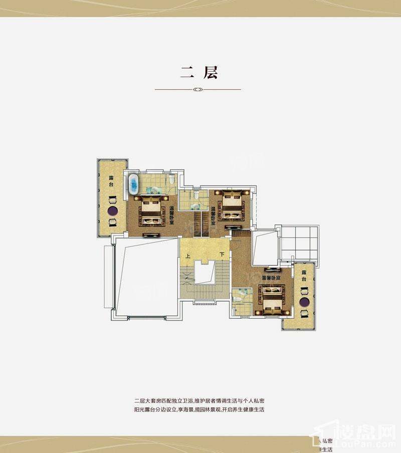 新世界•美丽沙0室0厅0卫