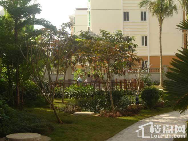 南方花园实景图