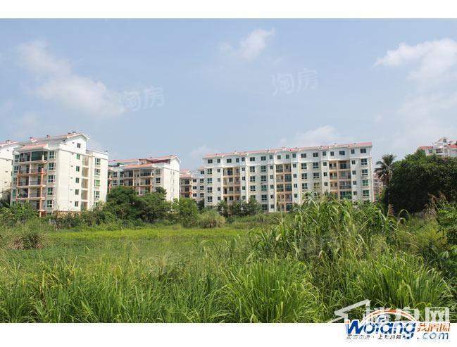 南方花园实景图