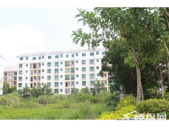 南方花园实景图