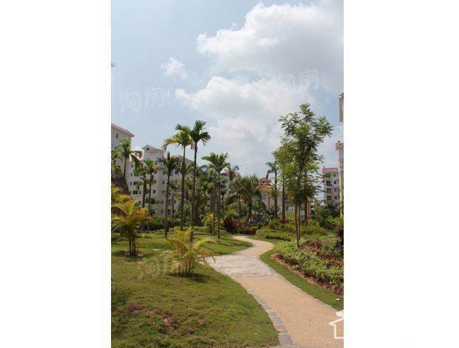 南方花园实景图