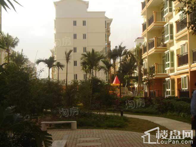 南方花园实景图